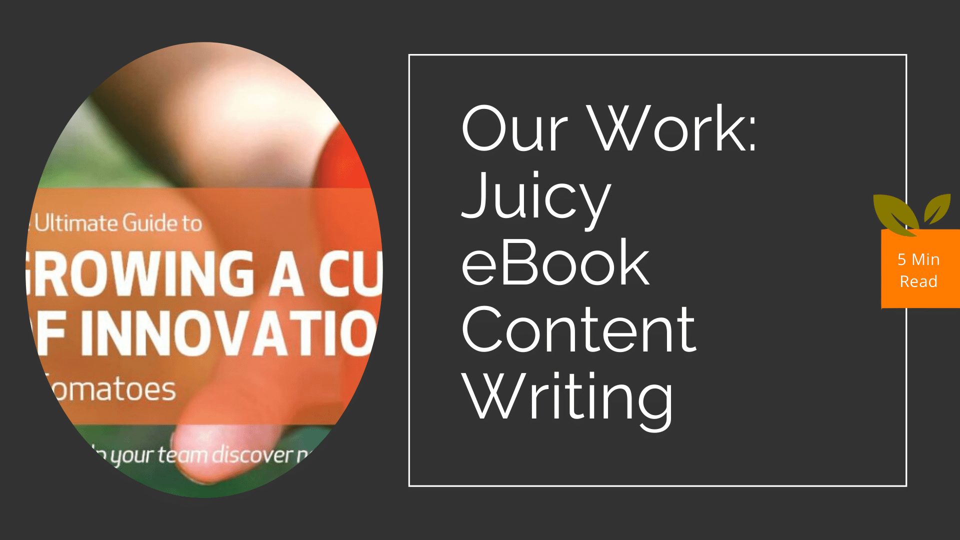 Juicy eBook Content Writing Samples