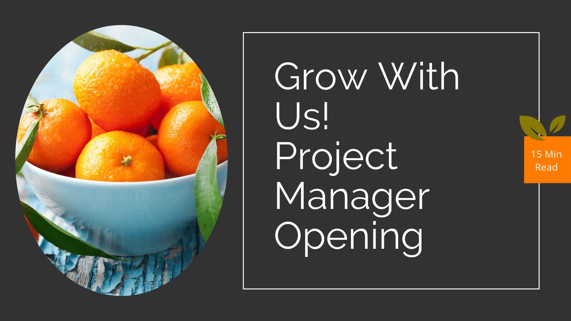 Digital Project Manager Job Opening