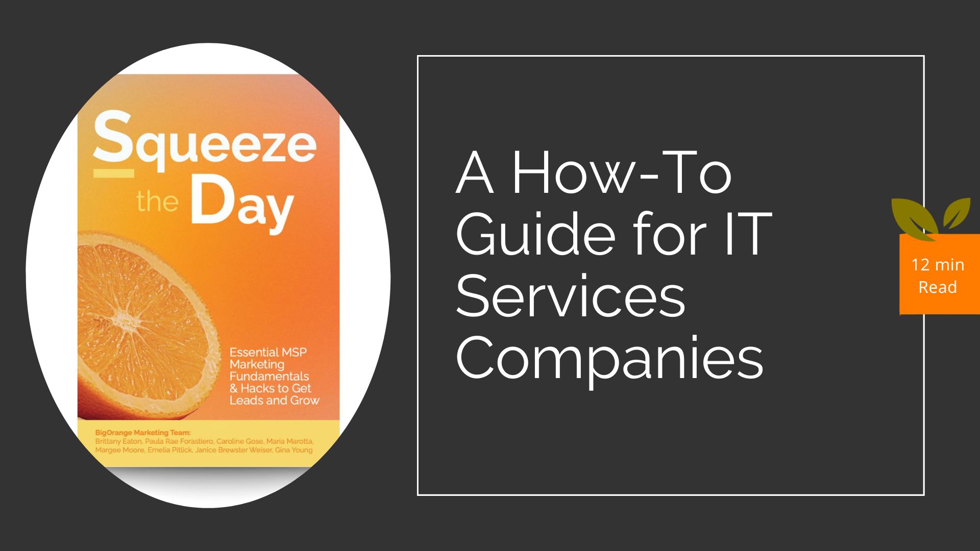 how-to guide for IT service companies
