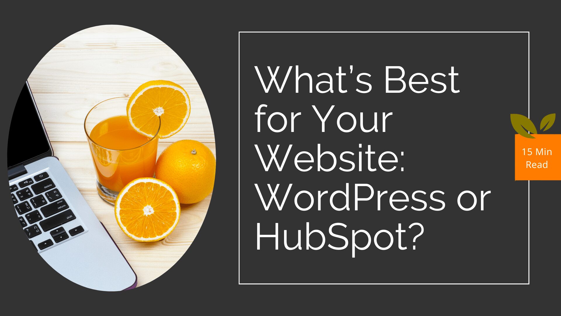 whats best for your website wordpress or hubspot