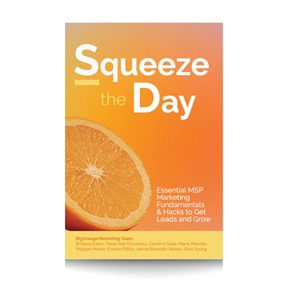 Squeeze the Day book - How-to Guide for MSP Marketing